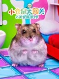 小仓鼠大闯关之美食篇 3