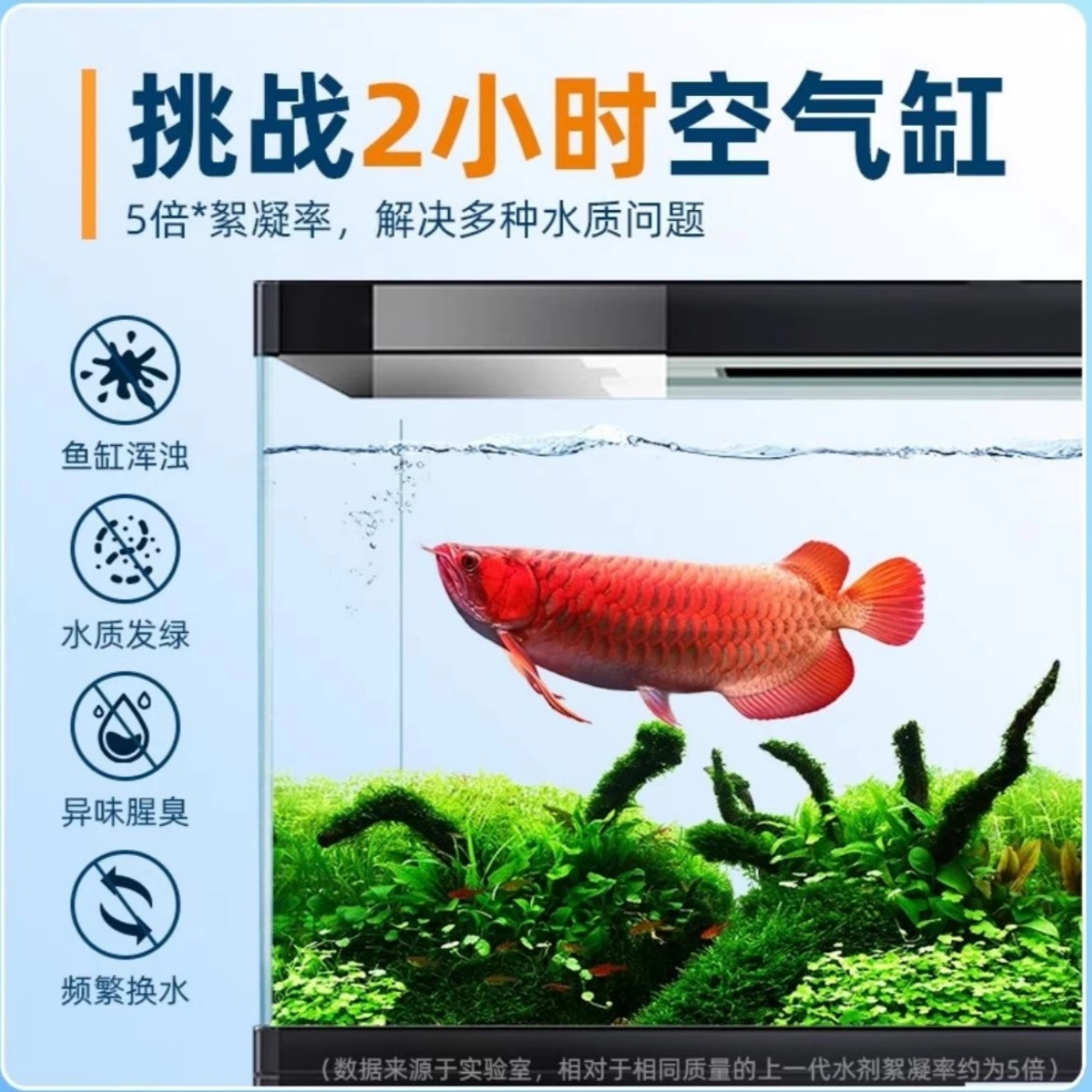 鱼缸除藻剂大揭秘：如何轻松去除青苔、绿褐藻、丝藻、黑毛藻，还你清澈绿水？