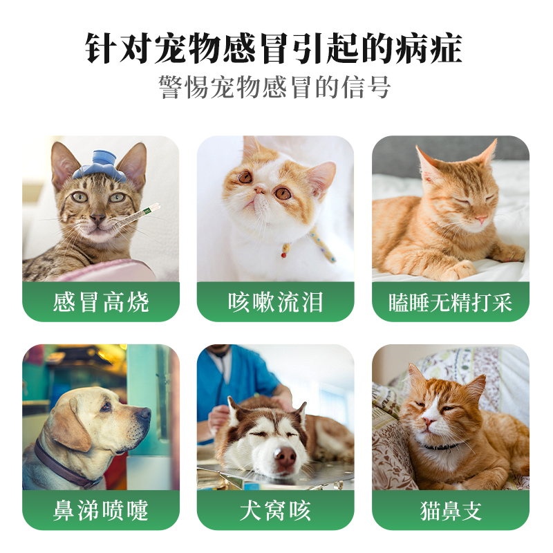狗狗咳嗽流鼻涕别慌！爱迪森果根素口服液真的太好用啦！救命！