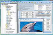 SQL Maestro for MySQL executable file15.5