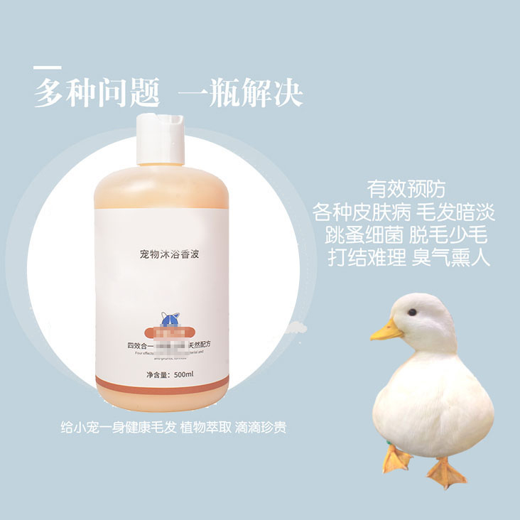 柯尔鸭专用沐浴露真的香！去异味+柔顺一招搞定，养鸭子的姐妹快看！