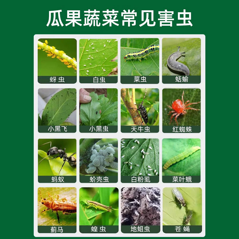 限时折扣，达人推荐，2002系列好物来袭，正品包邮，错过等一年！