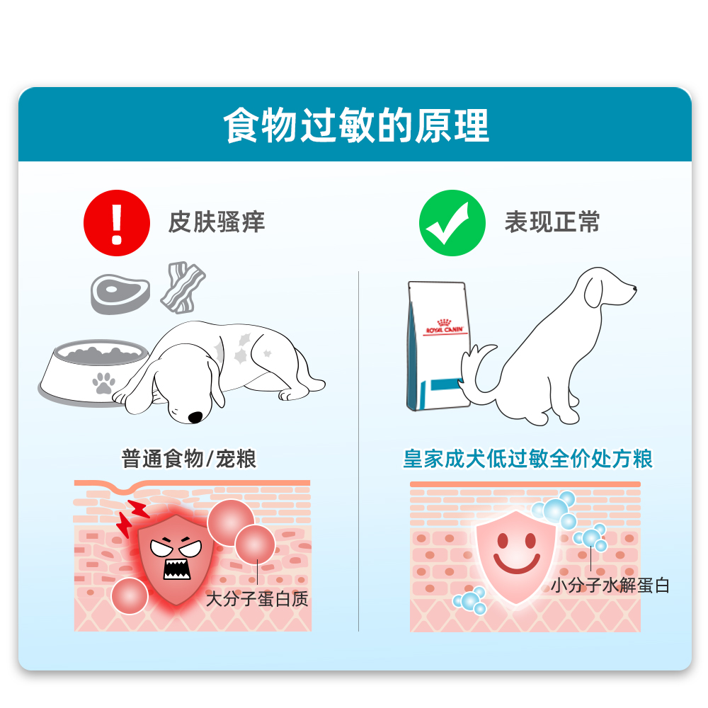 皇家成犬低过敏性全价处方粮DR21/8KG：终结狗狗皮肤瘙痒烦恼，宠爱不止一点点！