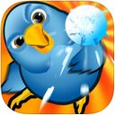 魔鸟迷阵iPad版V1.66