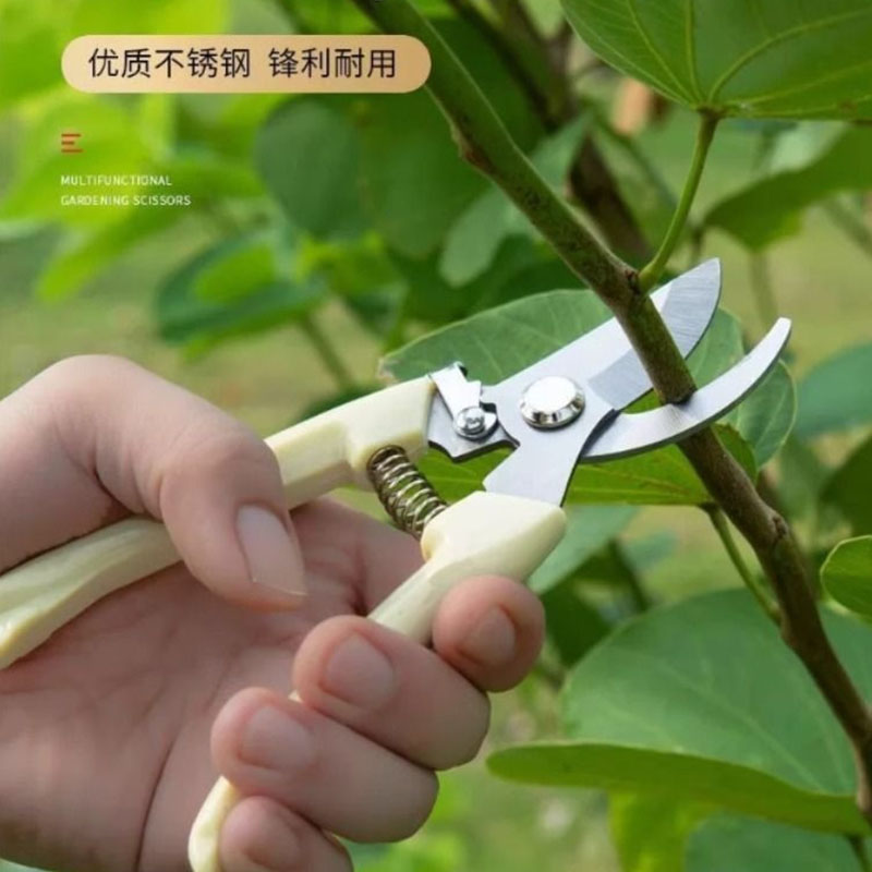 果树剪刀修枝神器，摘果剪树剪花卉枝剪刀，园林园艺家用修剪全攻略！