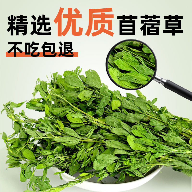 2025年苜蓿草大揭秘：幼兔、龙猫、荷兰猪的超级美食，1kg包邮，你还在等什么？