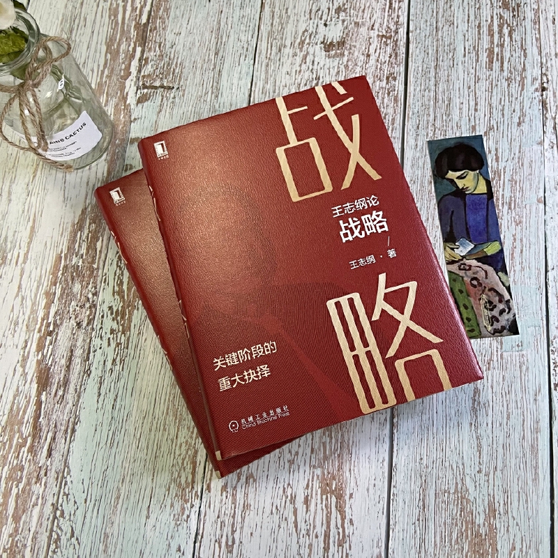 王志纲《论战略》：企业关键阶段的重大抉择，正版书籍深度解读