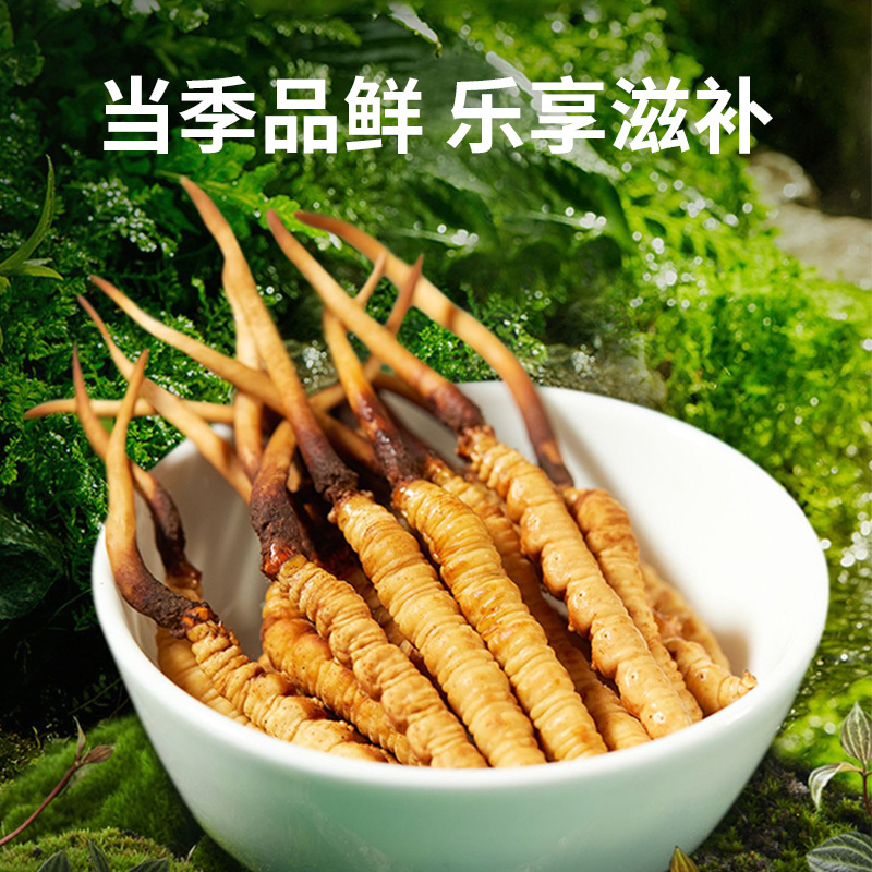 【西藏品质】正宗冬虫夏草，头茬滋补，新鲜干货整条纯肉节，10克装自用，开启养生新纪元✨