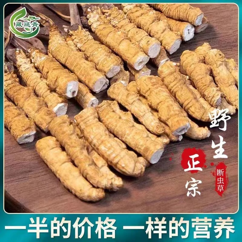 野生冬虫夏草：那曲直发，正宗西藏虫草礼盒，断草零容忍！