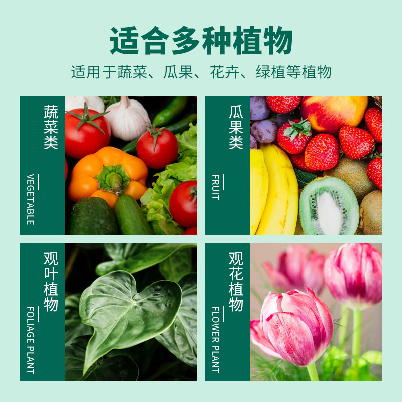 氮磷钾三元复合肥：解锁植物生长的秘密武器，专治各种花卉绿植营养不良！