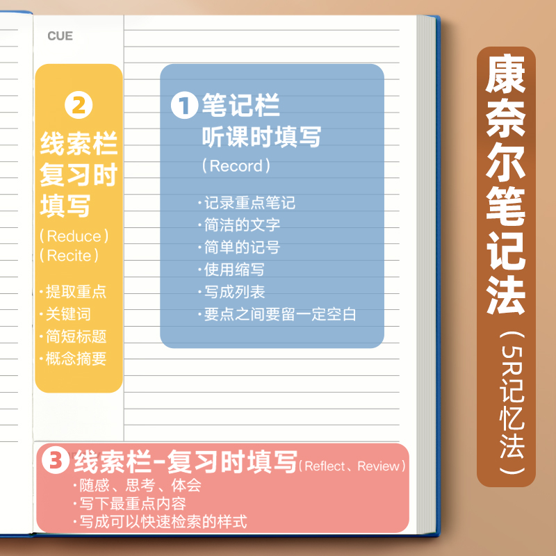 康奈尔大学有哪些著名的教授值得关注？
