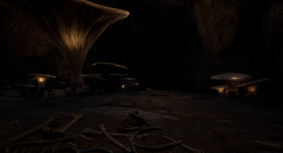 恐惧之森免安装绿色中文版[官方中文]15