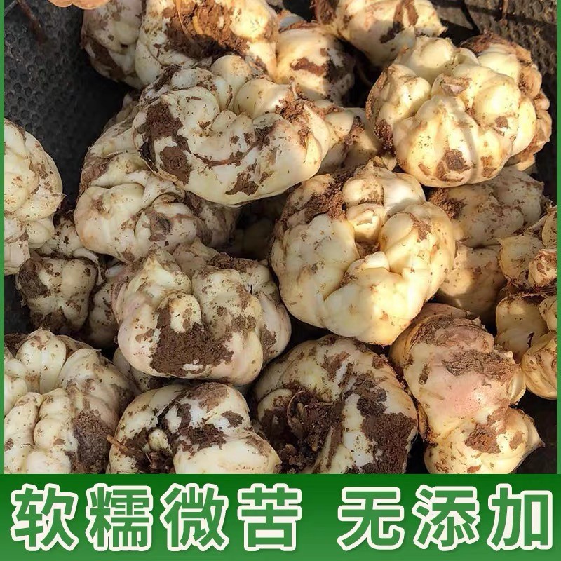 2025宜兴新鲜百合：太湖卷丹的甜蜜诱惑，顺丰直达你的味蕾