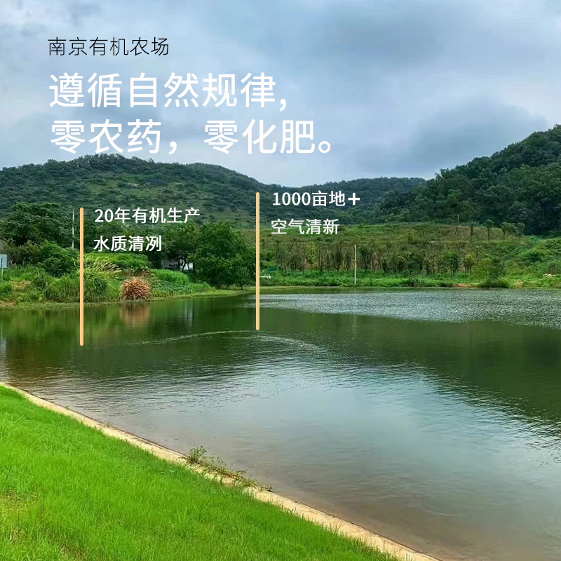 普朗克有机西兰花：宝宝辅食新选择，健康轻食新风尚！