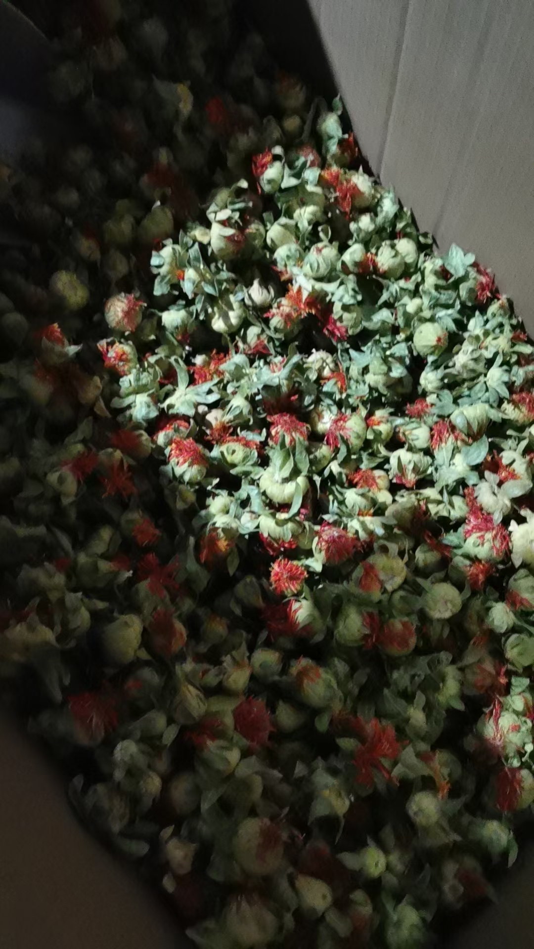 西域天然藏红花：成朵红花朵红花果500克养生花草茶，草红花头1斤，究竟有何魅力？