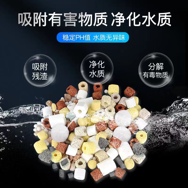 大眼绿纽扣珊瑚：新手也能轻松养活的水族箱新宠！✨