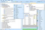 Database .NET421.9.6352