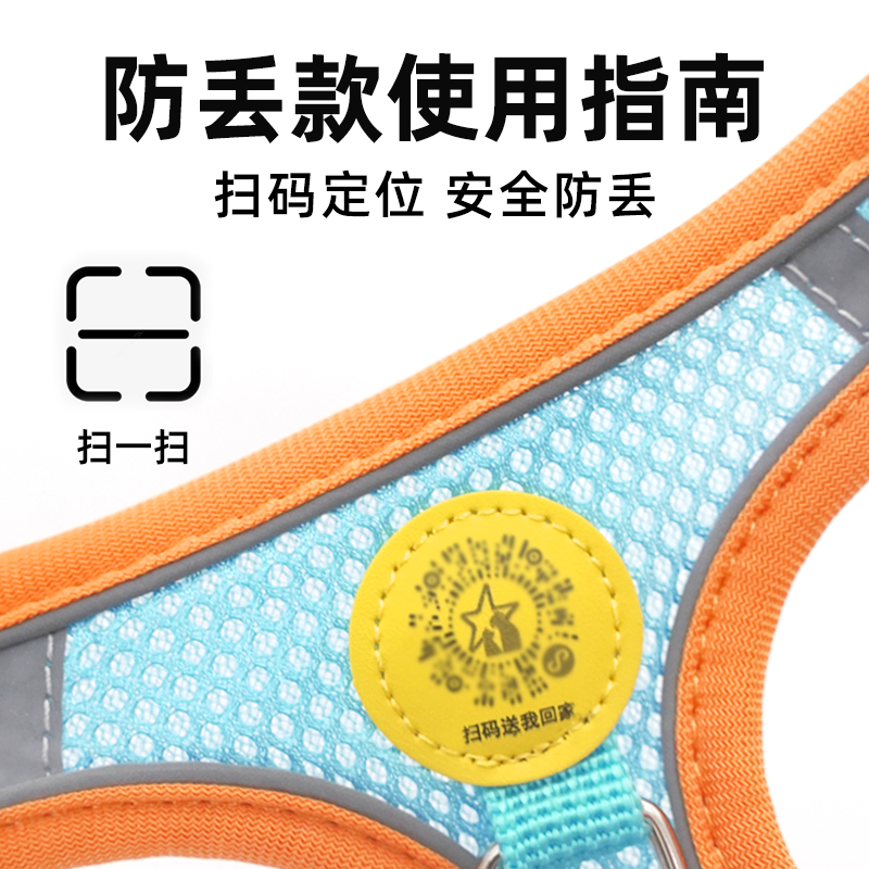 狗狗牵引绳大揭秘：小型犬胸背带&amp;博美泰迪比熊专用牵引绳，遛狗神器你get了吗？
