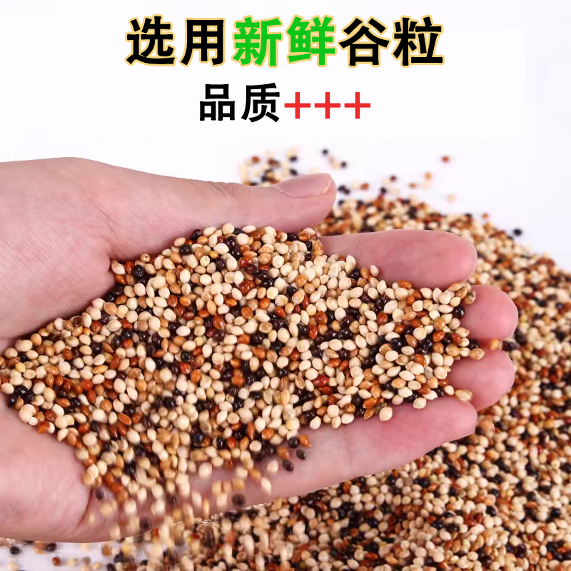 鹦鹉专用饲料：虎皮牡丹玄凤补钙营养混合粮，让爱宠更健康！