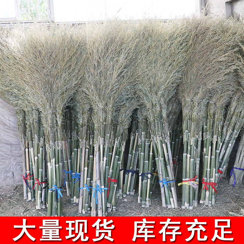 竹扫帚大扫把：清洁神器，让院子焕然一新！