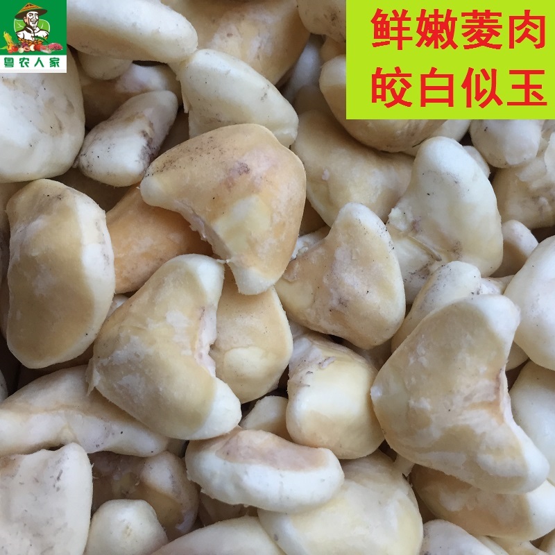 潮汕特产新鲜直达！菱角莲角，纯肉500g，当季时令尝鲜必备！蓮菂大放送