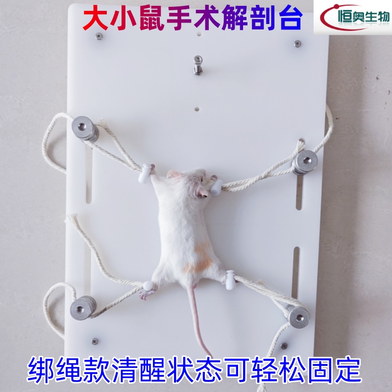 实验固定器大小鼠解剖台兔蛙实验台：实验室必备神器，揭秘生命科学的秘密武器