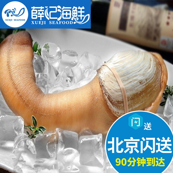 2斤起拍鲜活象拔蚌：尝鲜必备，解锁海鲜界的神秘美味！