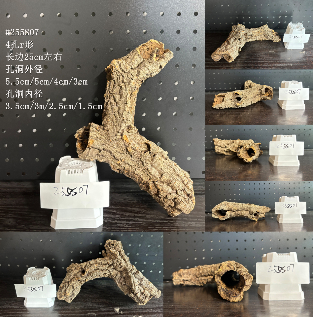 葡萄牙软木树洞树桶爬虫躲避雨淋缸造景蝴蝶兰板植：打造梦幻花园秘境