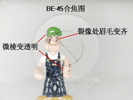 水手大眼睛对焦屏真香！佳能5D/6D系列神器，拍照对焦从此不翻车！