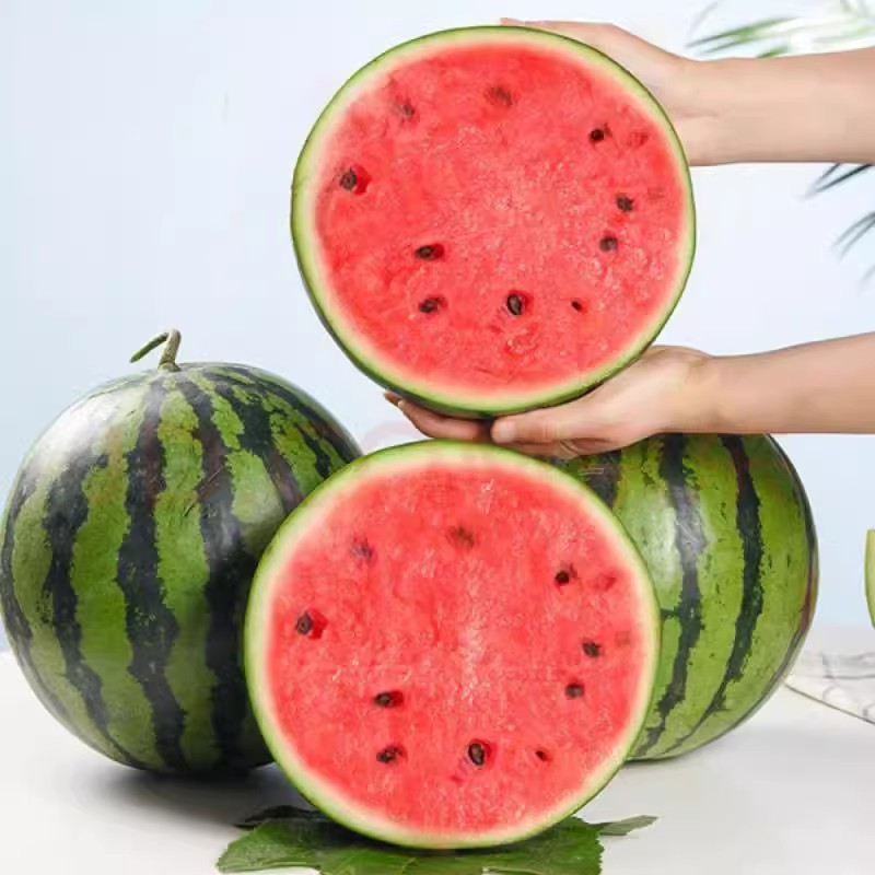 正宗冰糖麒麟西瓜9斤甜薄皮美都瓜现摘无籽有籽新鲜应季水果手剥，夏日解暑神器大揭秘！