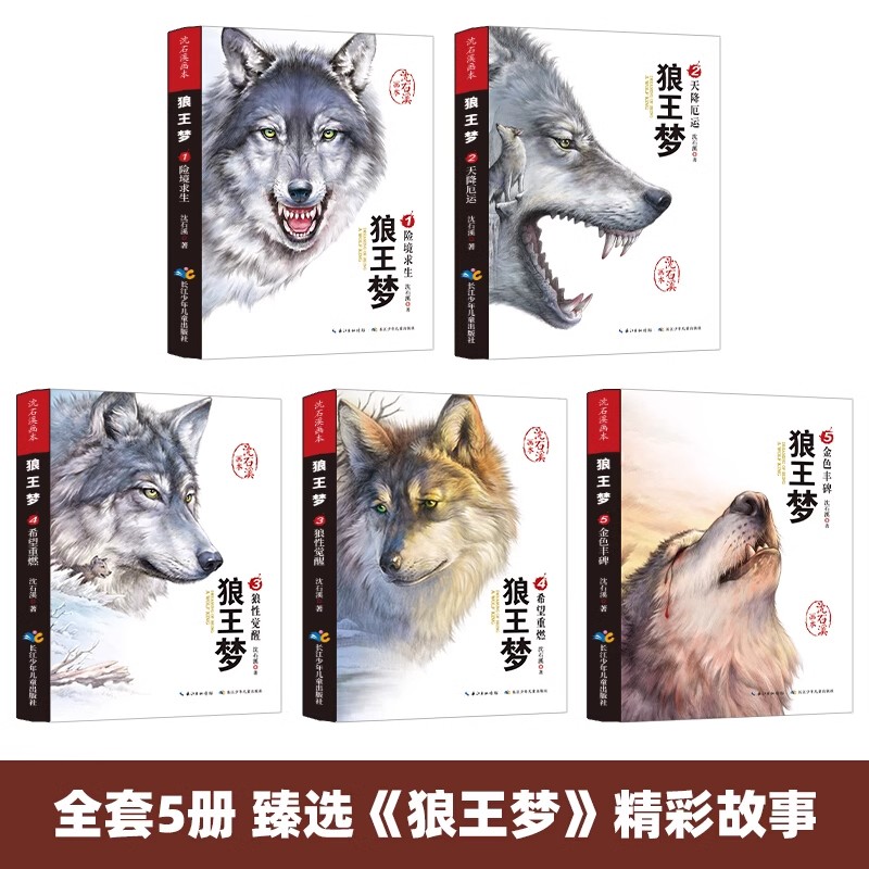 《雄狮少年》：燃梦之光，国漫崛起的又一力作