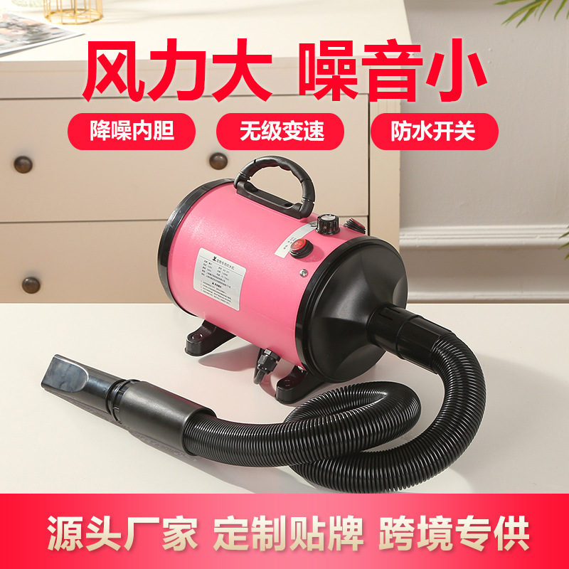 派可为宠物吹水机真香！大型犬洗澡后秒变毛绒玩具，这波不冲亏麻了