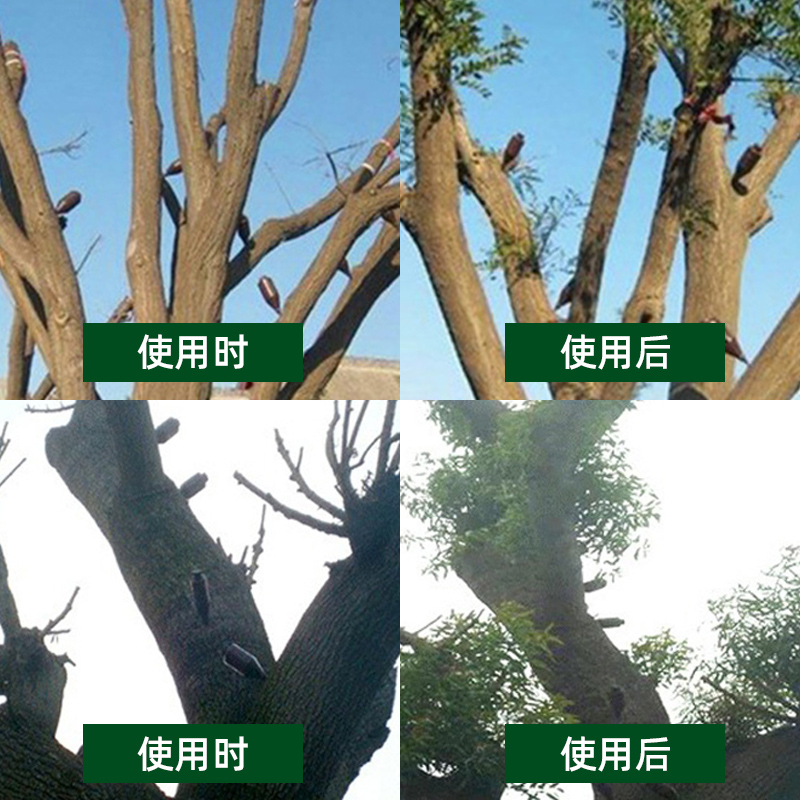 国光施它活：植物急救神器，让枯木逢春不再是梦！