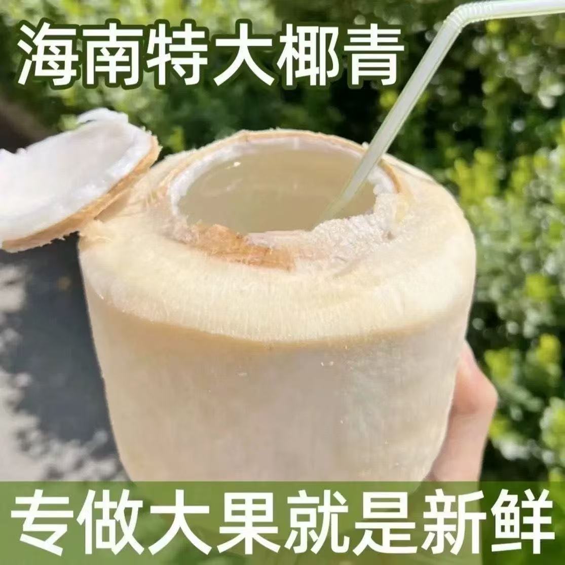海南椰青新鲜椰子当季孕妇水果大果香椰子水去皮椰皇毛椰整箱特产