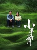 小草青青