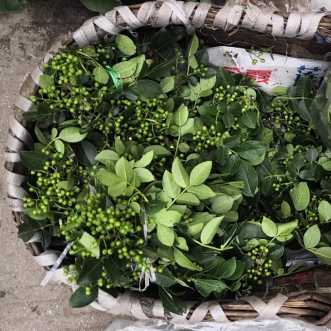新鲜青花椒：湖北宜昌农家青花椒，本地土花椒新花椒生麻椒鲜青藤椒，尝鲜攻略大公开！