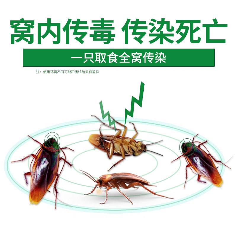 灭蟑螂药杀虫剂家用一窝全窝厨房端强力蟑螂药跳蚤神器专用杀虫剂：告别虫害，守护家居净土！️