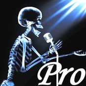 透视滤镜 Pro1.1