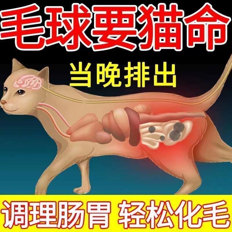 100%排毛！益生菌化毛膏，猫咪专用神器，告别蓝猫吐毛烦恼
