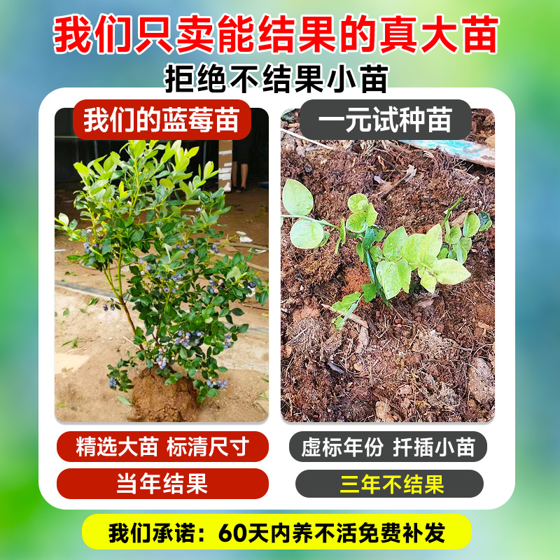 车厘子吃多少才不过量？绝绝子的吃货攻略，拯救你的甜蜜负担！