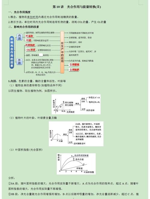 linux环境变量,环境变量的概念与作用