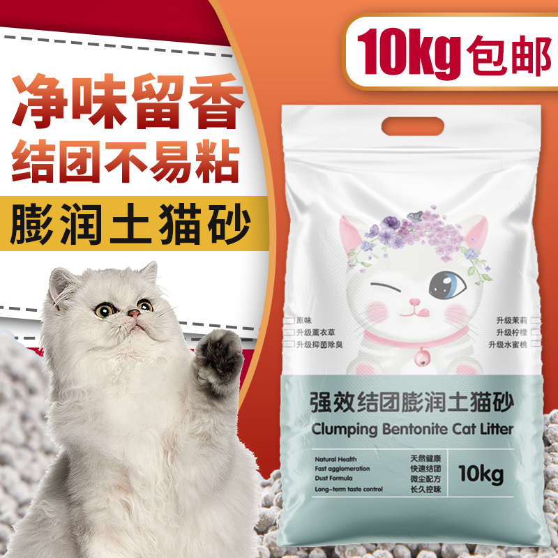出售宠物貂：如何选择和照顾你的迷你家庭成员？从国产雪貂到白貂黑貂，全国发货！
