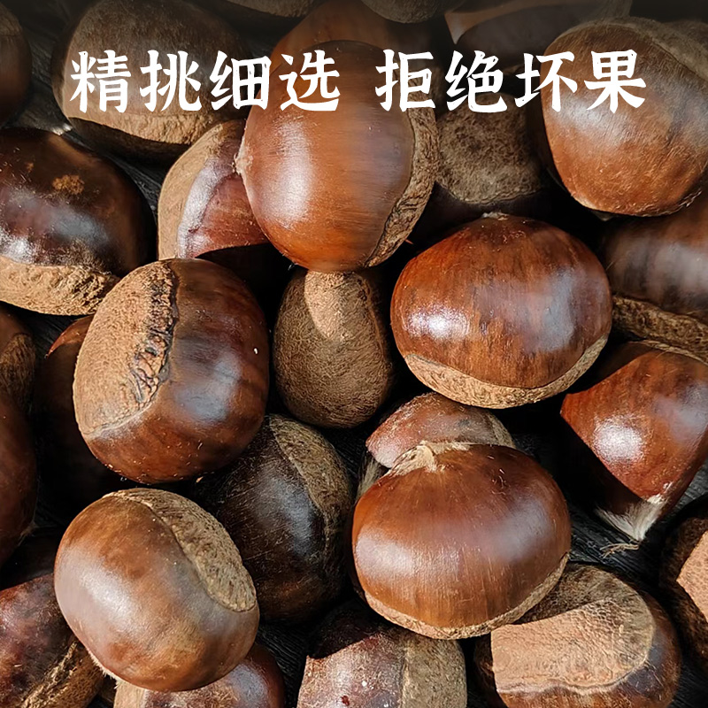 25年迁西生板栗：正宗燕山油栗子，一口咬下满嘴香甜！