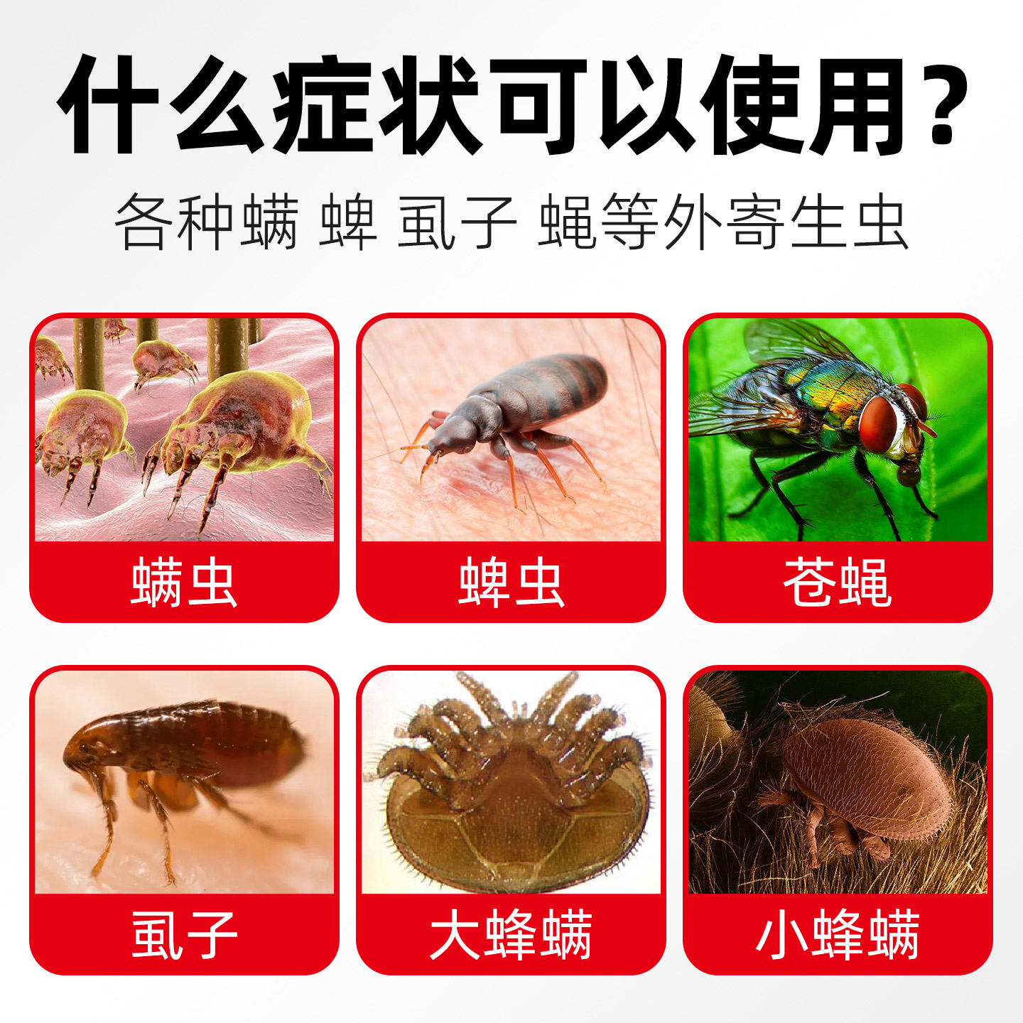 猫狗泡澡驱虫药浴神器，告别瘙痒烦恼，宠物健康无忧！