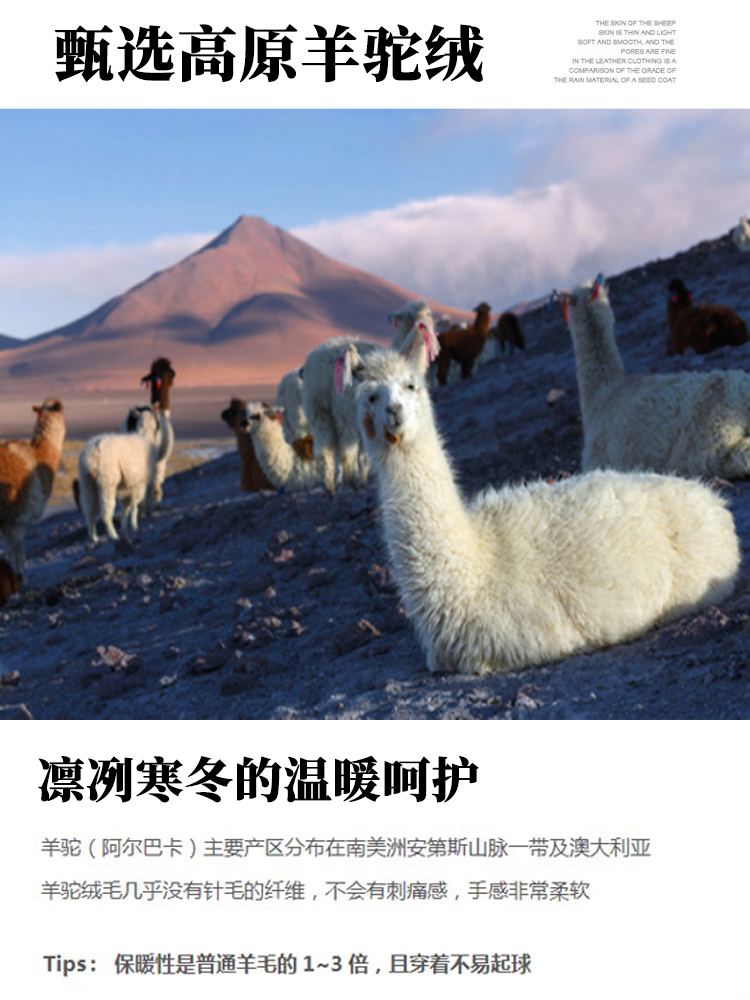 焦黄羊驼绒太绝了！双面阿尔巴卡长毛羊绒布料，保暖又高级，秋冬必备