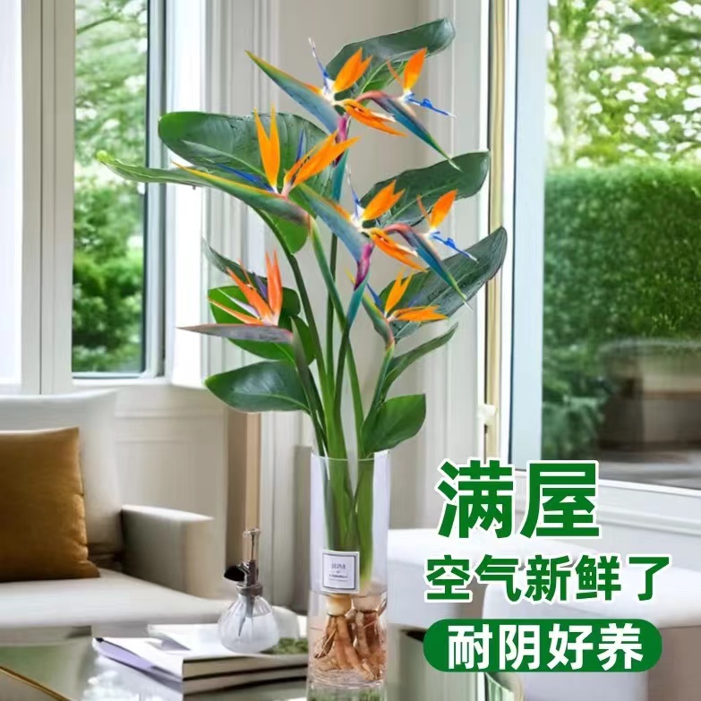 揭秘！上海最大的New Balance旗舰店，跑步爱好者的天堂