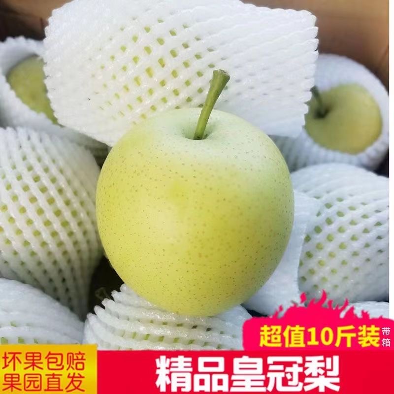 如何辨别蜜雪冰城正品店的牌子？关键点在这里！