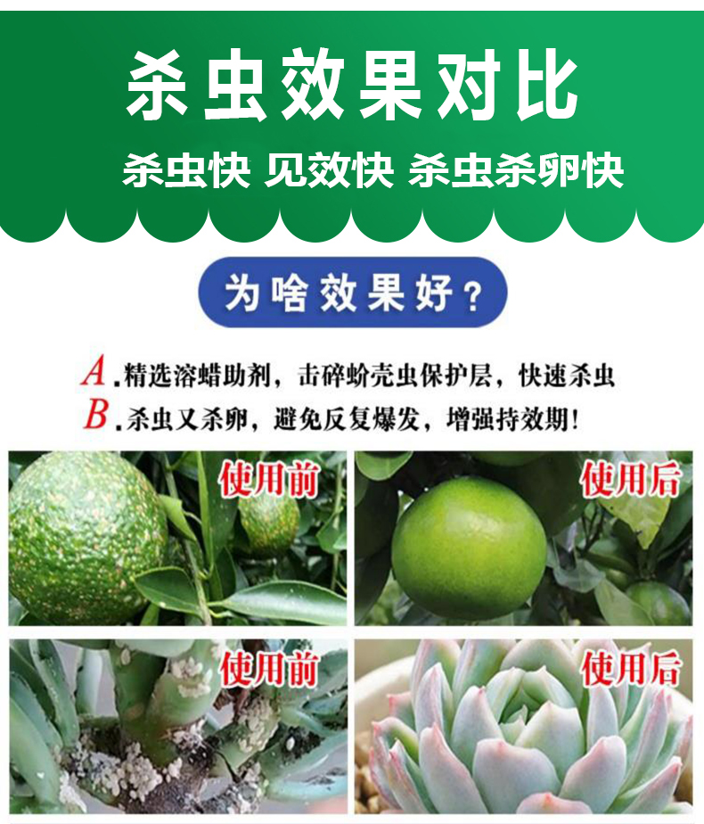 18%吡虫噻嗪酮：果树杀手锏，专治蚧壳虫、梨木虱，柑橘果园的救星！