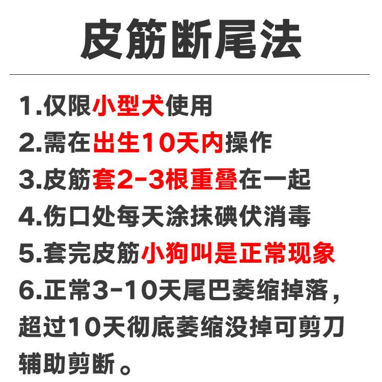 泰迪断尾神器，宠物狗扩张器圈工具皮筋夹剪柯基雪纳瑞小型幼犬，宠物美容必备神器！✂️