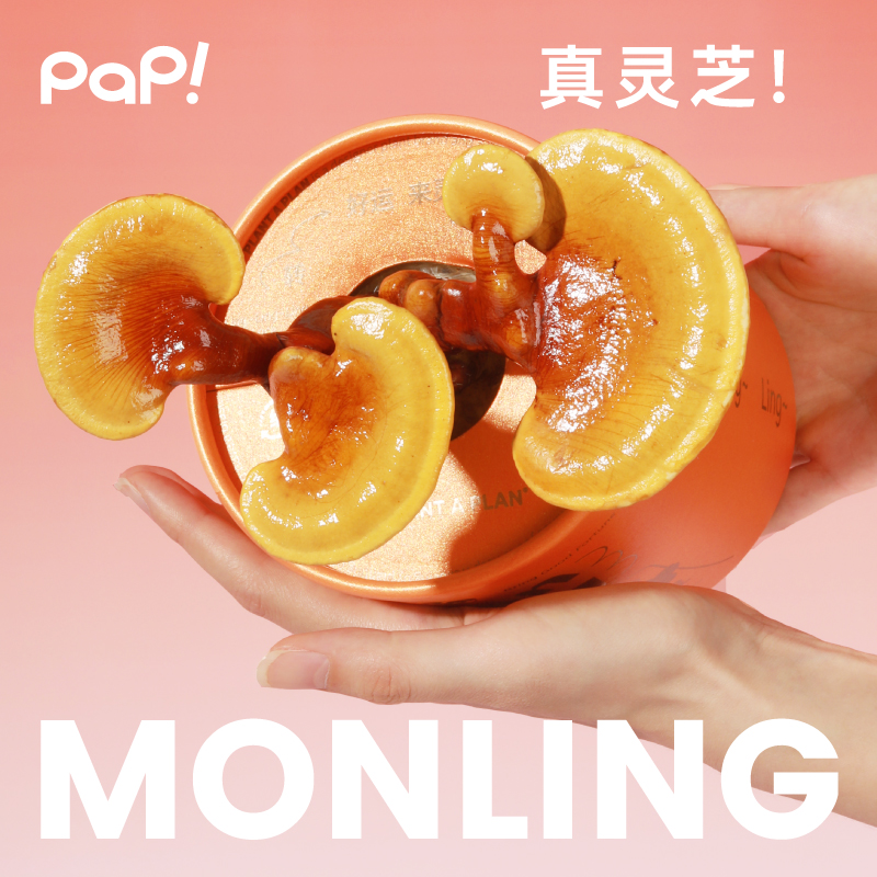 好运礼物：pap转运灵活灵芝盆栽礼盒，招财摆件送朋友开业必备！✨